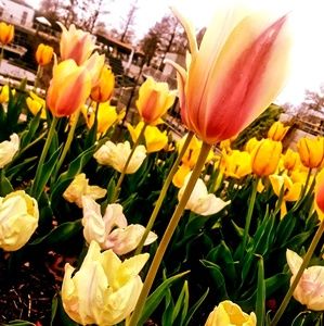 Meet your Posher, Chloe